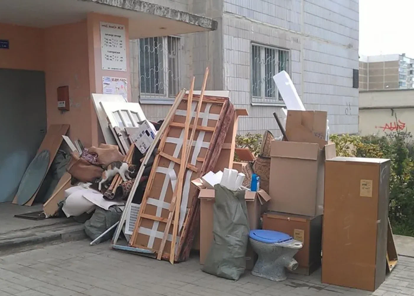 Профессиональный вывоз мусора из квартиры в Сосновом Боре в октябре