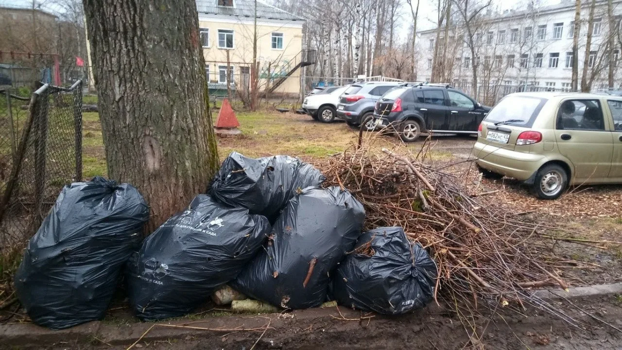 Вывоз мусора после субботника в Сосновом Боре от ПроМусор – уборка и утилизация отходов от 2387 руб