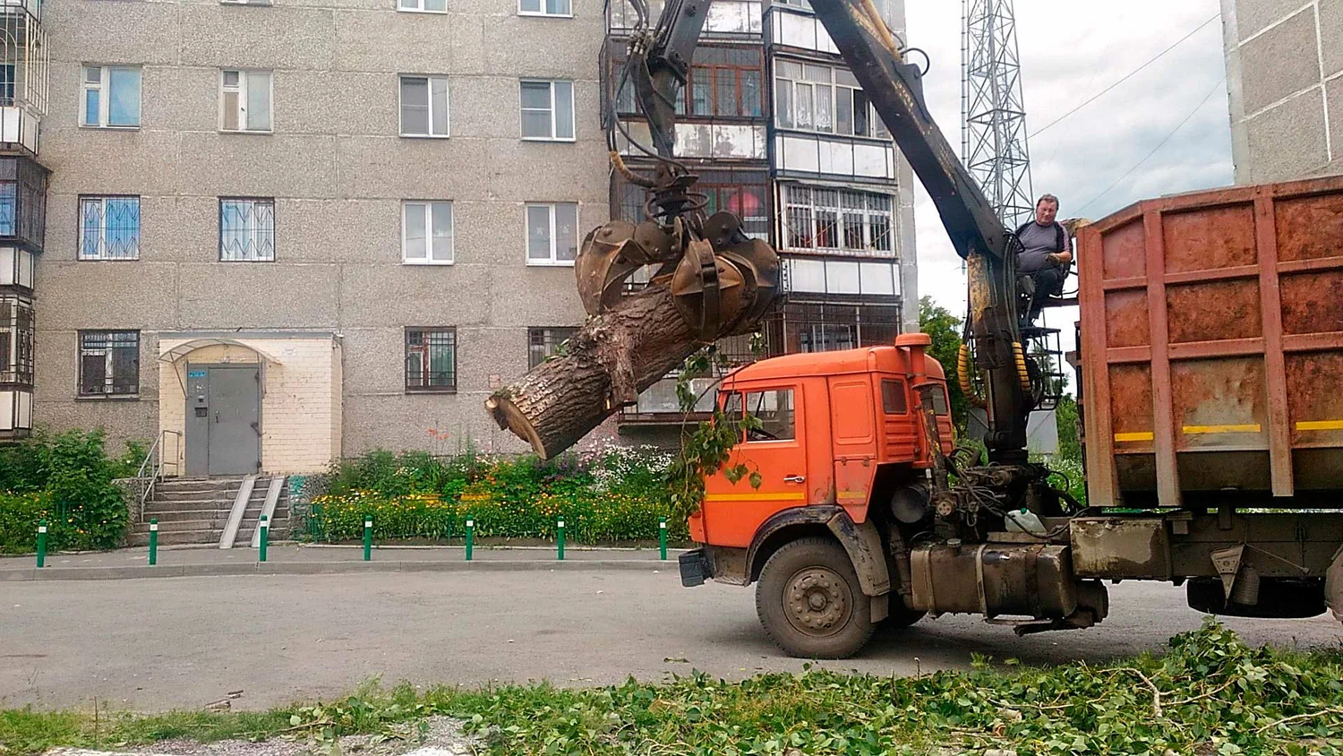 Вывоз спиленных веток и деревьев в Сосновом Боре от ПроМусор: порубочные остатки, утилизация, цена от 2946 руб