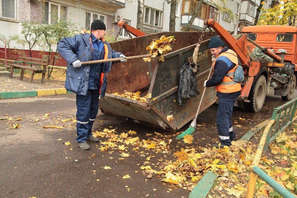 Вывоз опавшей листвы и растительного мусора в Сосновом Боре от ПроМусор – цена от 4571 руб., быстрая уборка и утилизация